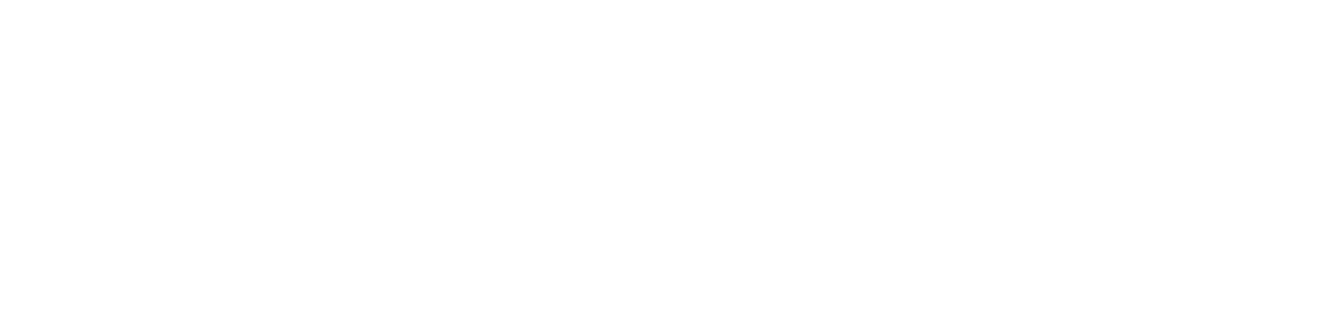 Logo-White-FR